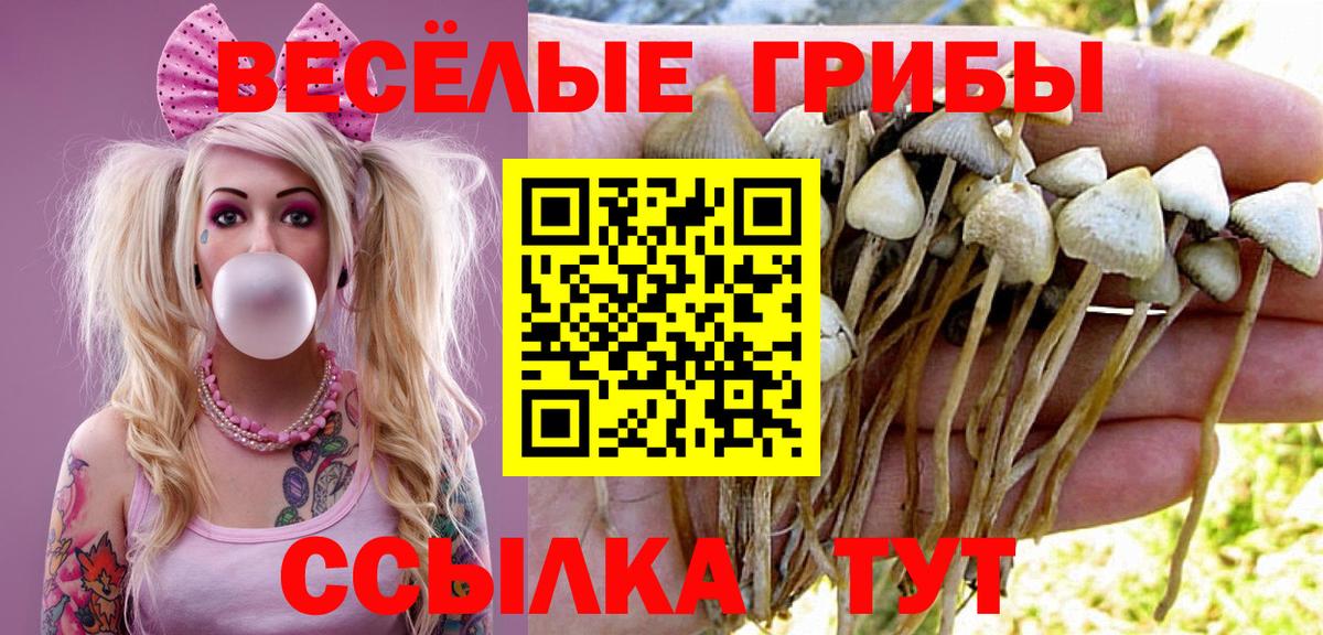 Галлюциногенные грибы GOLDEN TEACHER Томск
