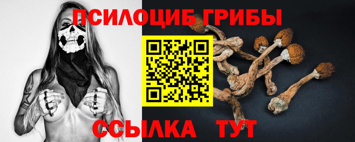 Томск  Псилоцибиновые грибы MAGIC MUSHROOMS  продажа наркотиков  Вход с VPN 